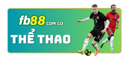 banner thể thao fb88